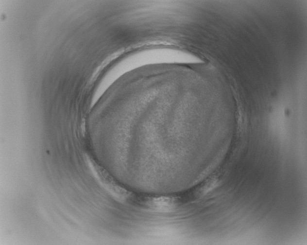 X0000051260064200507152226