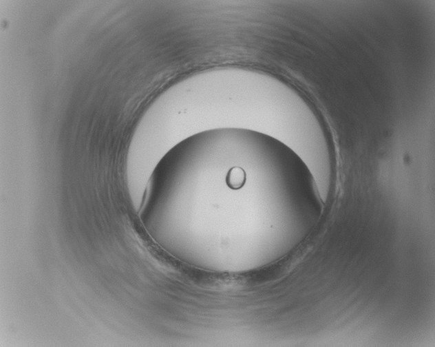 X0000051260065200507152226