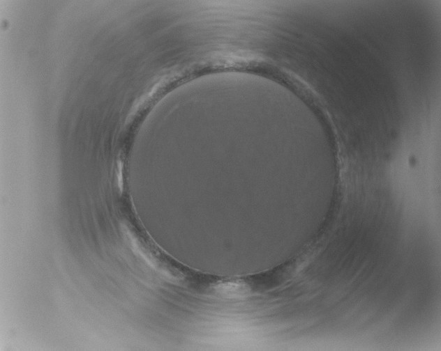 X0000051260067200507152226