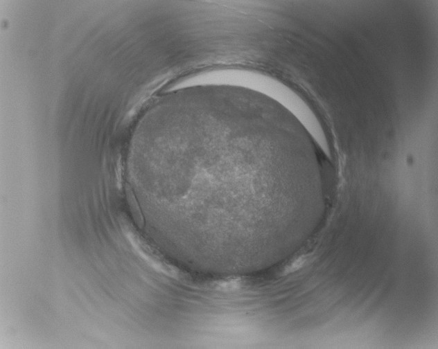 X0000051260068200507152226