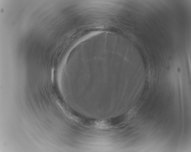 X0000051260070200507152226