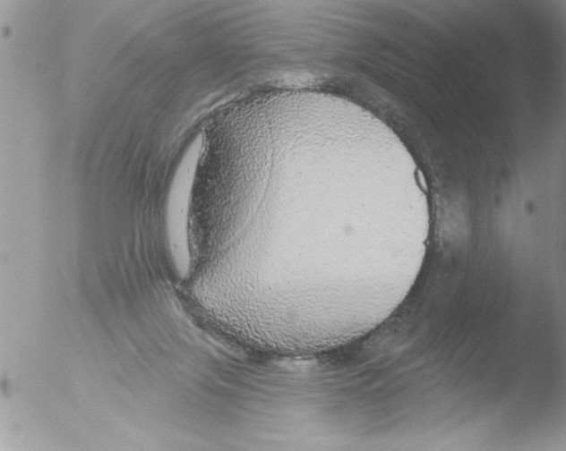 X0000051260071200507152227