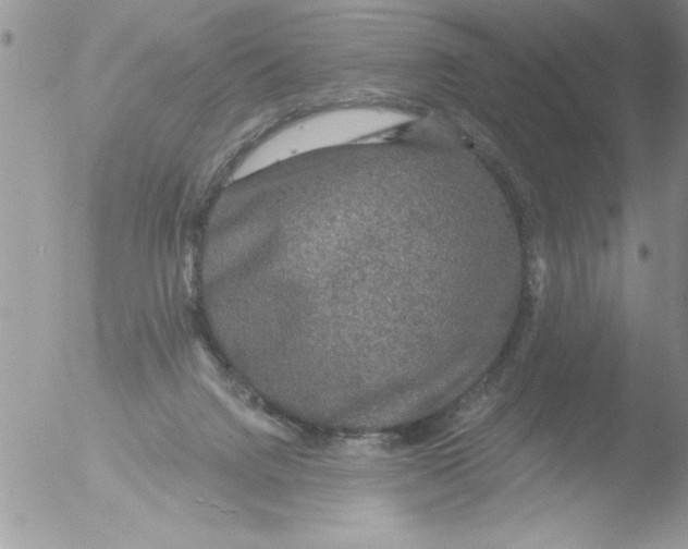 X0000051260072200507152227