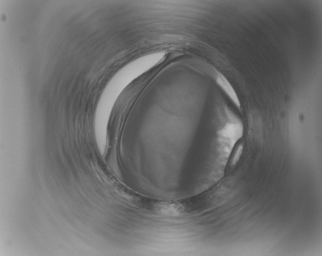 X0000051260073200507152227