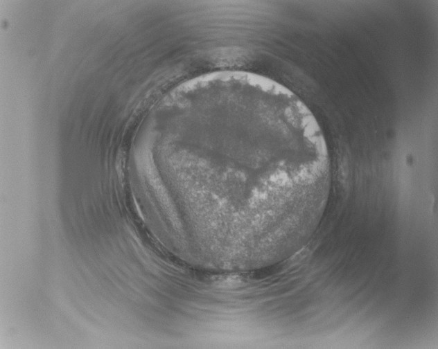 X0000051260074200507152227