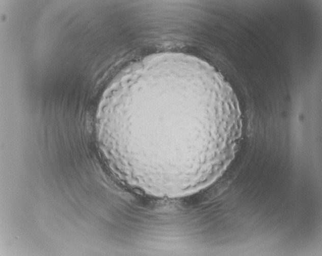 X0000051260077200507152227