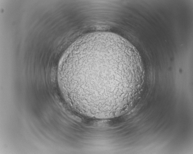 X0000051260078200507152227