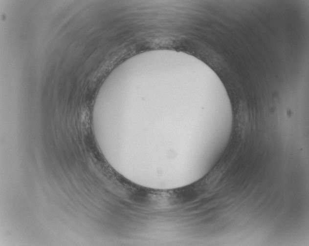 X0000051260079200507152227