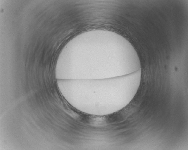 X0000051260081200507152227