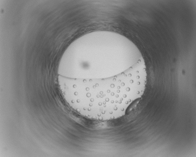 X0000051260083200507152227