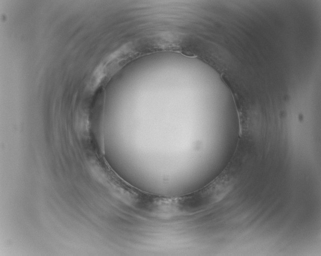 X0000051260084200507152227