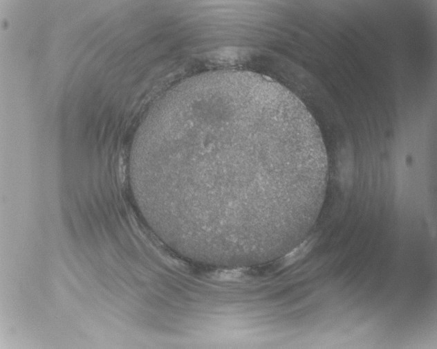 X0000051260086200507152227