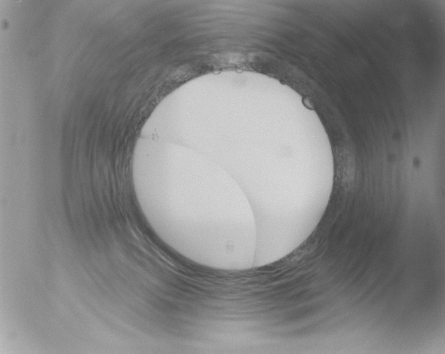 X0000051260087200507152227