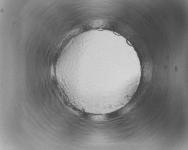 X0000051260089200507152227