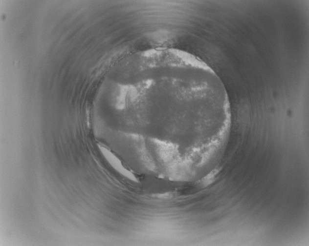 X0000051260090200507152227