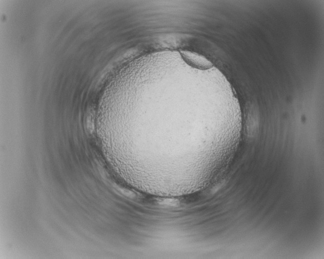 X0000051260091200507152227