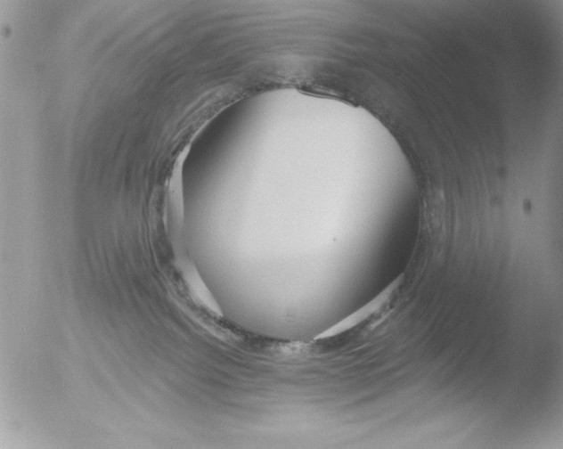 X0000051260092200507152227