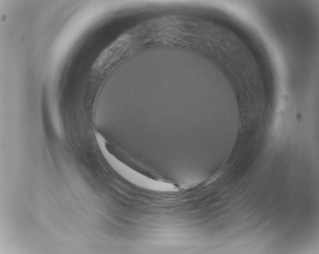 X0000051260093200507152227