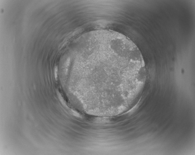 X0000051260094200507152227