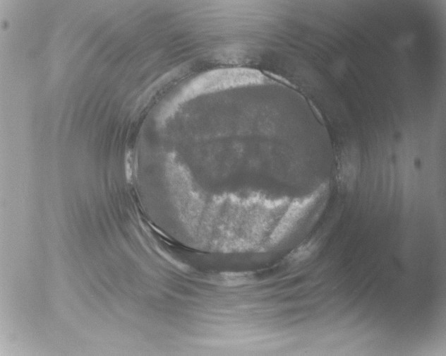 X0000051260095200507152227