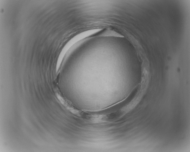 X0000051260096200507152227