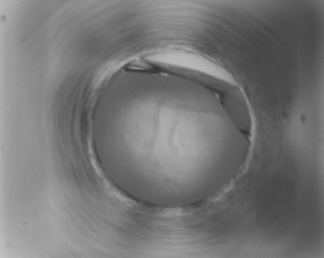 X0000051260097200507152226