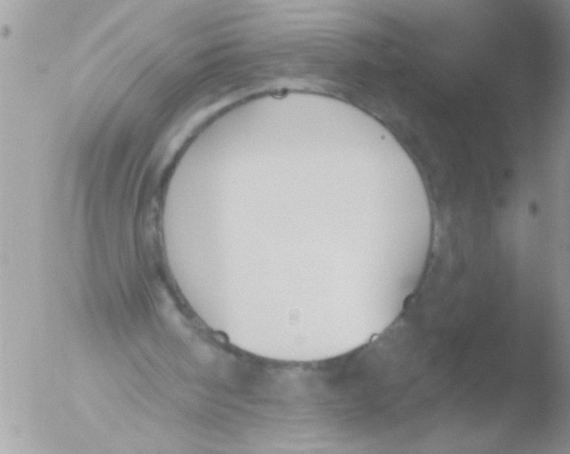 X0000051260098200507152226