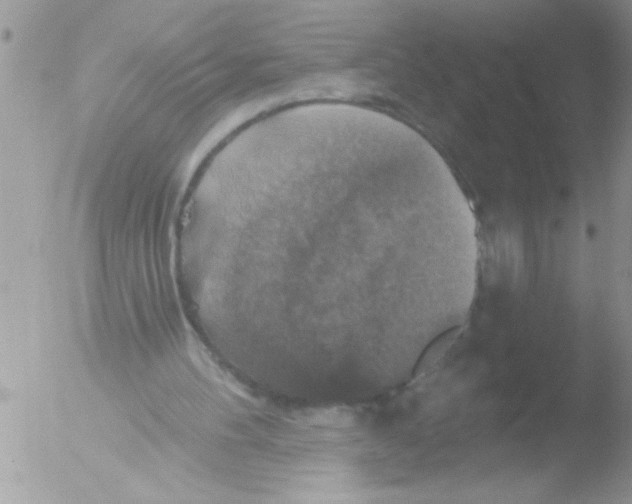 X0000051260100200507152226