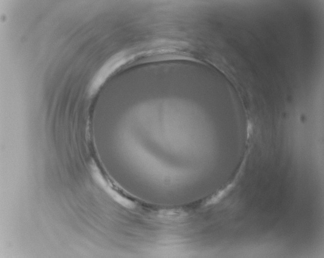 X0000051260101200507152226