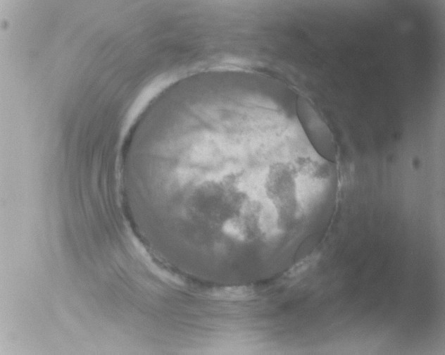 X0000051260102200507152226