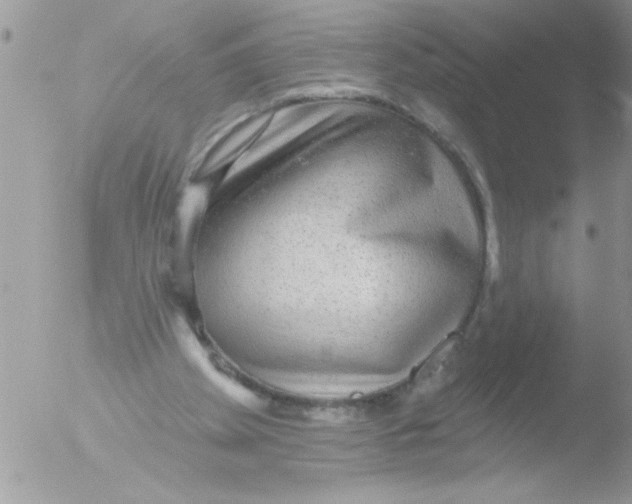 X0000051260105200507152226