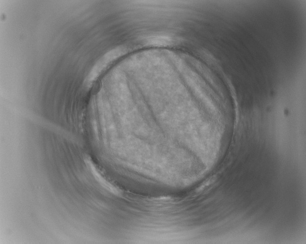 X0000051260106200507152226