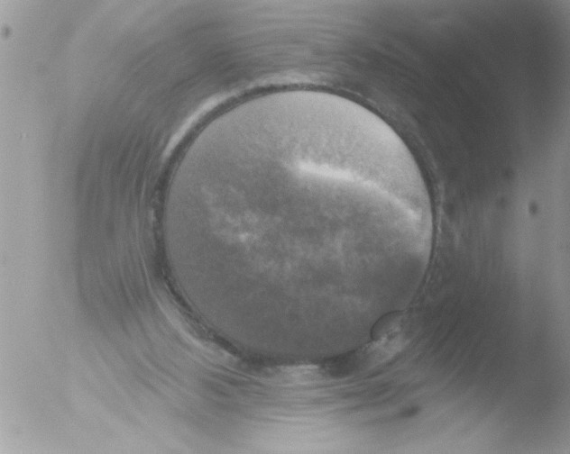 X0000051260108200507152226