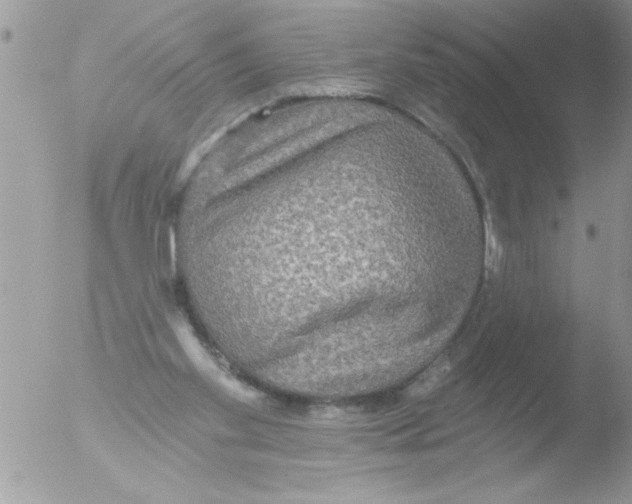 X0000051260109200507152226