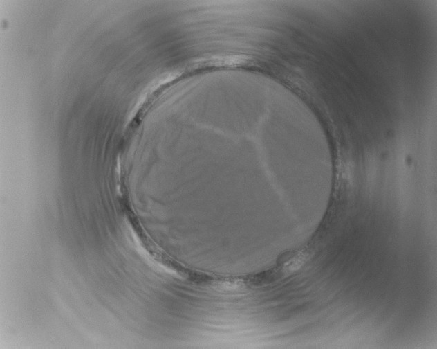 X0000051260110200507152226