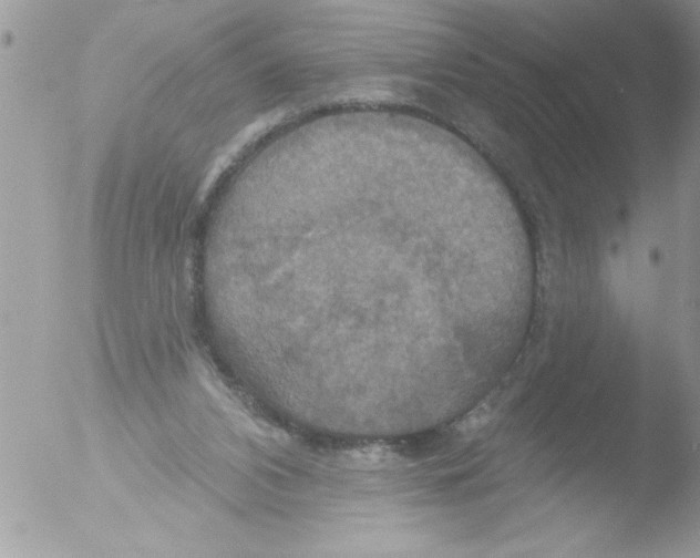 X0000051260112200507152226