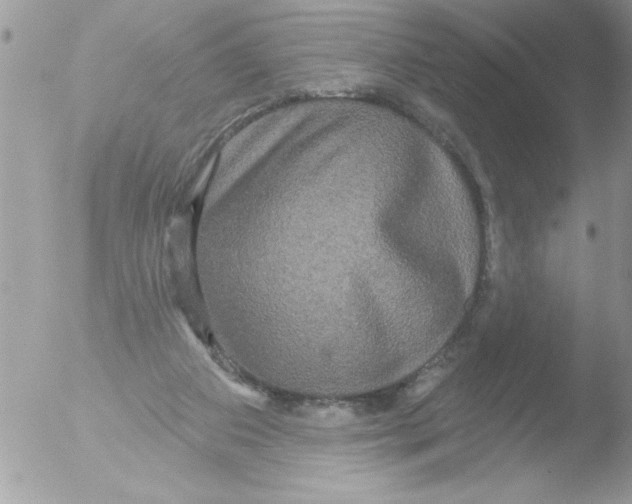 X0000051260113200507152226