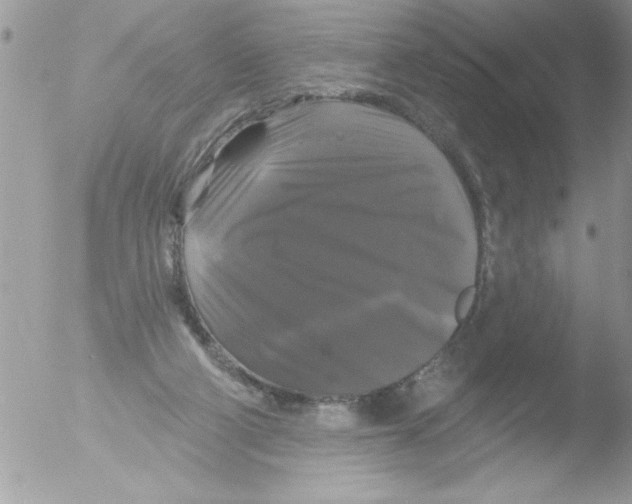 X0000051260114200507152226