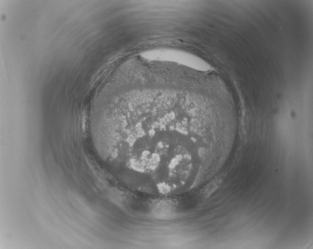 X0000051260115200507152226