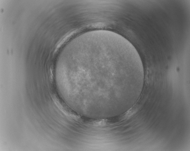 X0000051260116200507152226