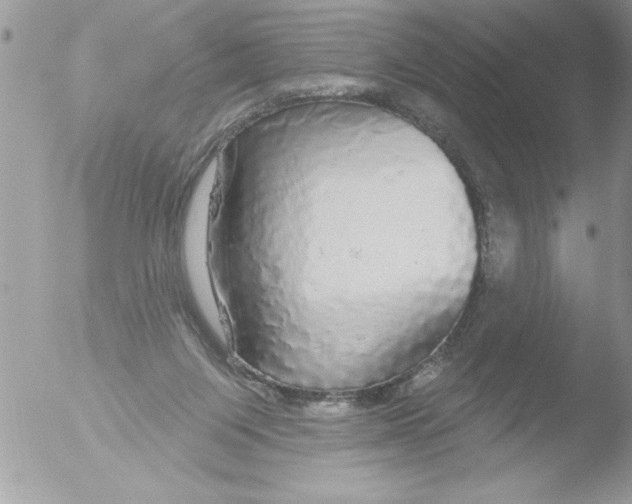 X0000051260119200507152226