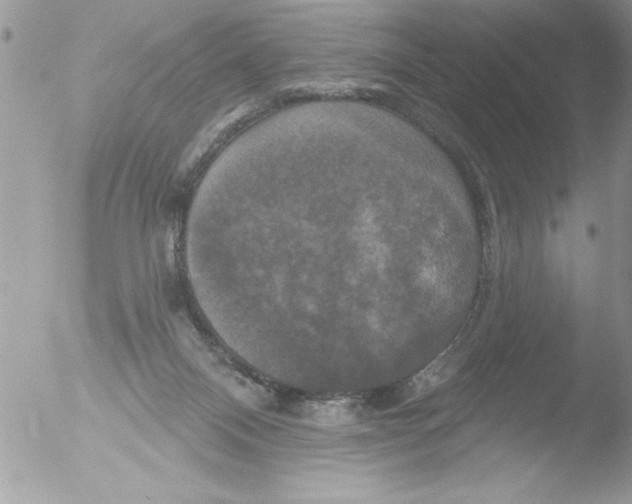 X0000051260120200507152226