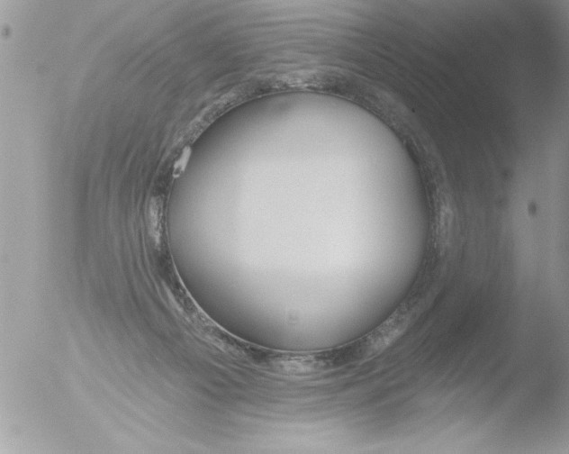 X0000051260121200507152226