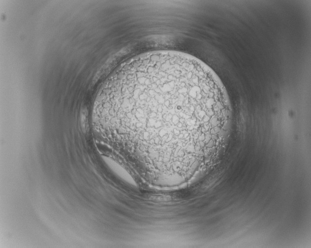 X0000051260123200507152226