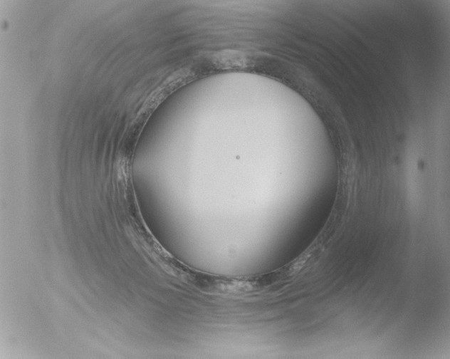 X0000051260125200507152226