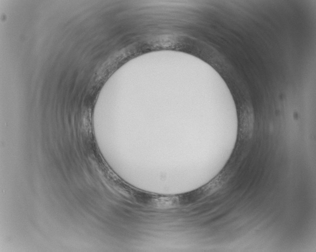 X0000051260126200507152226