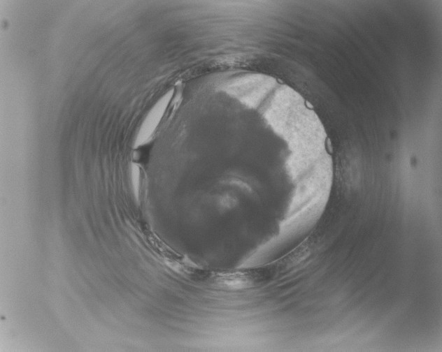 X0000051260127200507152226