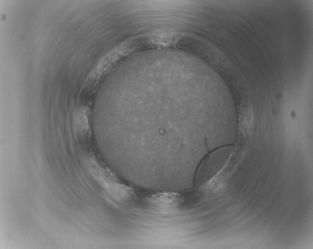 X0000051260128200507152226