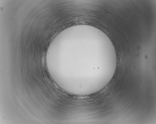 X0000051260129200507152226