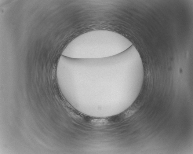 X0000051260133200507152226